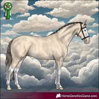 Horse Color:Amber Cream Champagne Splash 