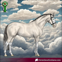 Horse Color:Amber Cream Champagne Splash