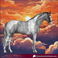 Horse Color:Blue Roan Splash Tobiano 