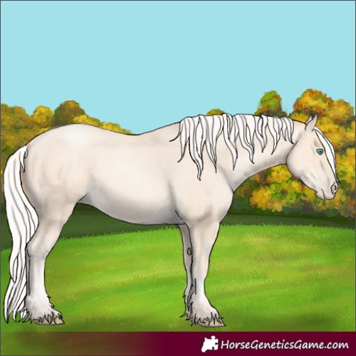 Horse Color:Silver Amber Cream Champagne Pearl