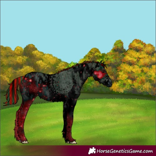 Horse Color:ERROR: UNKNOWN ANOMALY