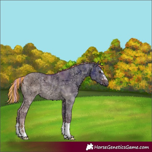 Horse Color:Painted Watercolor Red Dun Ice 