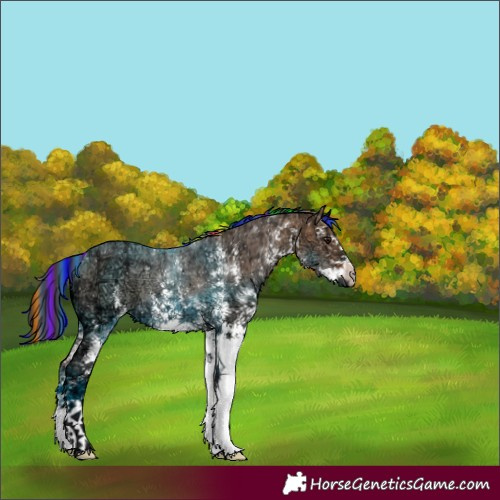Horse Color:Painted White Spotted Bay Ice Dun