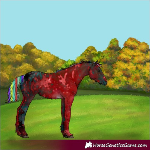 Horse Color:ERROR: UNKNOWN ANOMALY