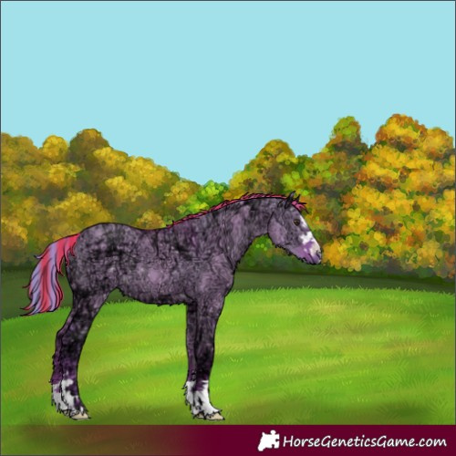 Horse Color:Painted Watercolor Red Dun Ice 