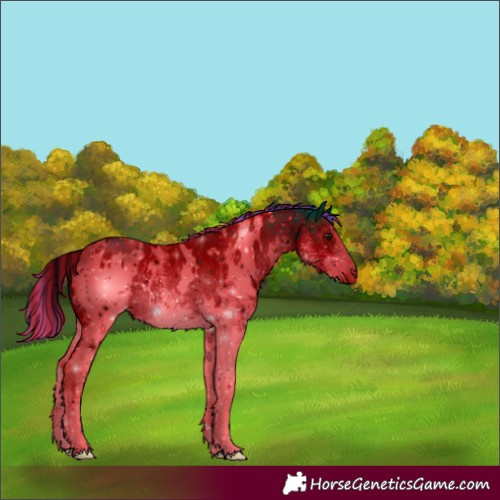 Horse Color:ERROR: UNKNOWN ANOMALY