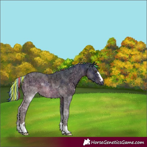 Horse Color:Painted Watercolor Chestnut Ice
