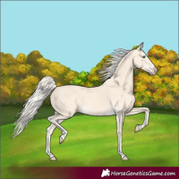 Horse Color:Cremello 