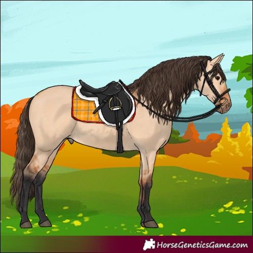 Horse Color:Bay Dun Rabicano 