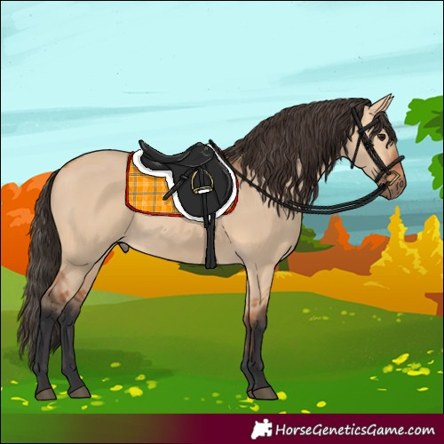 Horse Color:Bay Dun Rabicano 