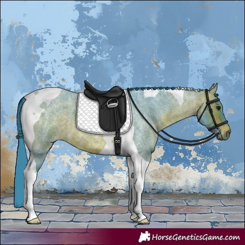 Horse Color:Watercolor Brown Roan Tobiano 