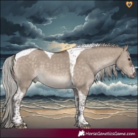 Horse Color:Silver Brown Dun Tobiano 