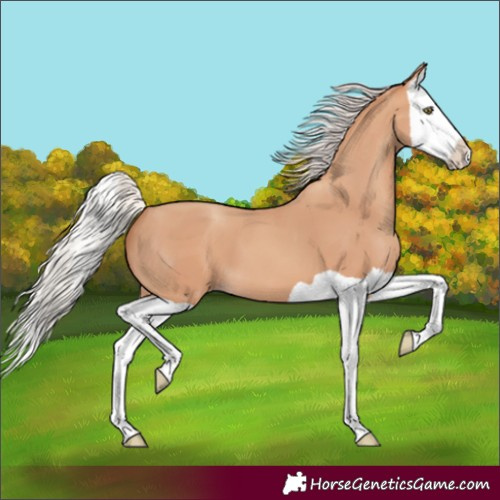 Horse Color:Silver Sable Champagne Splash 