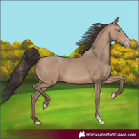 Horse Color:Sable Champagne