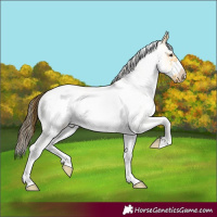 Horse Color:White Spotted Buckskin Roan Dun Frame 