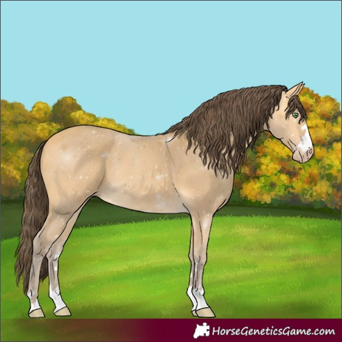 Horse Color:Amber Cream Champagne Rabicano 