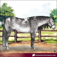 Horse Color:Powder White Platinum White Spotted Buckskin Dun Rabicano