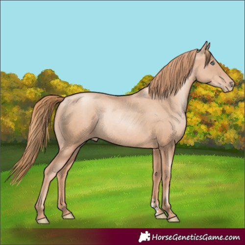 Horse Color:Gold Champagne Pearl Rabicano  and Gold Champagne Pearl Rabicano 