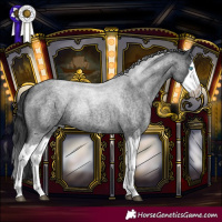 Horse Color:Blue Roan Splash Frame 