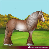 Horse Color:Gray Chestnut Frame