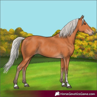 Horse Color:Silver Bay
