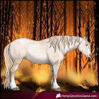 Horse Color:Gold Champagne Pearl Dun Rabicano and Gold Champagne Pearl Dun Rabicano