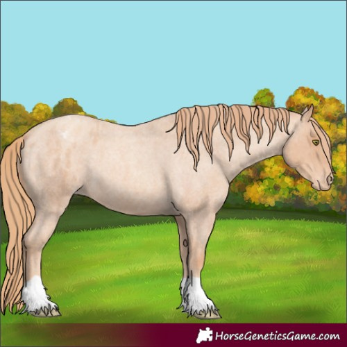 Horse Color:Gold Champagne Roan Varnish 
