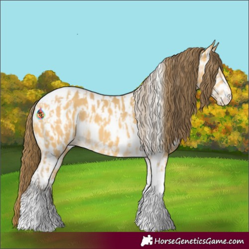 Horse Color:Amber Cream Champagne Sabino Tobiano Near Leopard  and Amber Cream Champagne Tobiano Near Leopard 