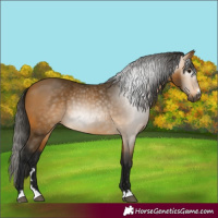 Horse Color:Unknown 