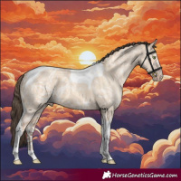 Horse Color:Amber Champagne Ice Dun Tobiano