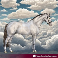 Horse Color:Amber Champagne Ice Dun Tobiano