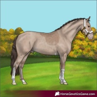 Horse Color:Classic Champagne Tobiano