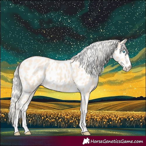 Horse Color:Cremello Near Leopard 