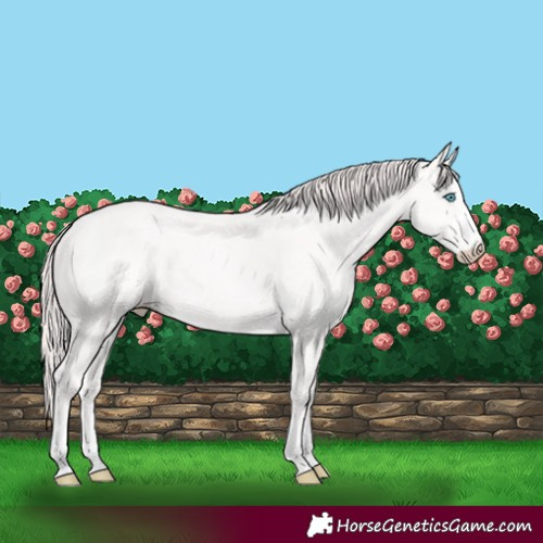 Horse Color:Smoky Creme 