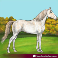 Horse Color:Perlino Sabino  and Buckskin Pearl Sabino 