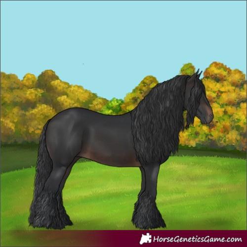 Horse Color:Brown 