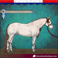 Horse Color:Bay Roan Dun Skewed Appaloosa 