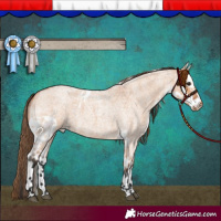 Horse Color:Bay Roan Dun Skewed LP Spotted 