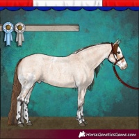 Horse Color:Bay Roan Dun Skewed Appaloosa 