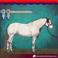 Horse Color:Bay Roan Dun Skewed Appaloosa