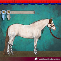 Horse Color:Bay Roan Dun Skewed Appaloosa 