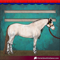 Horse Color:Bay Roan Dun Skewed Appaloosa