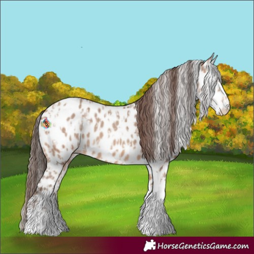 Horse Color:Amber Champagne Sabino Tobiano Leopard  and Amber Champagne Sabino Tobiano Leopard 