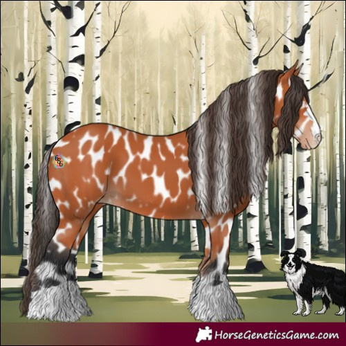 Horse Color:Bay Leopard 