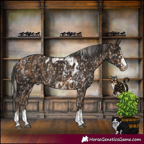 Horse Color:Silver Buckskin Skewed Appaloosa Rabicano and Liver Chestnut Skewed Appaloosa Rabicano