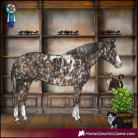 Horse Color:Silver Buckskin Skewed Appaloosa Rabicano and Liver Chestnut Skewed Appaloosa Rabicano