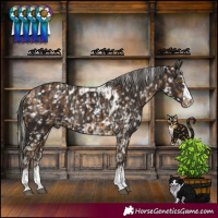 Horse Color:Silver Buckskin Skewed LP Spotted Rabicano  and Liver Chestnut Skewed LP Spotted Rabicano 