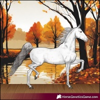 Horse Color:Bay Sabino 