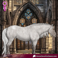 Horse Color:Platinum Silver Grullo Roan Appaloosa Rabicano 
