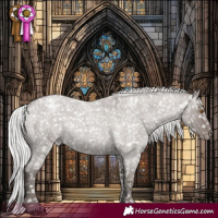 Horse Color:Platinum Silver Grullo Roan Appaloosa Rabicano 